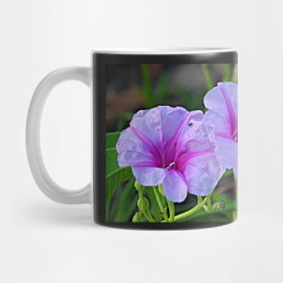 Ipomoea pes-caprae - known as bayhops, beach morning glory or goat's foot Mug